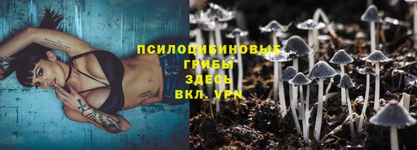 дмт Арсеньев