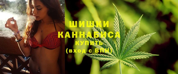 дмт Арсеньев