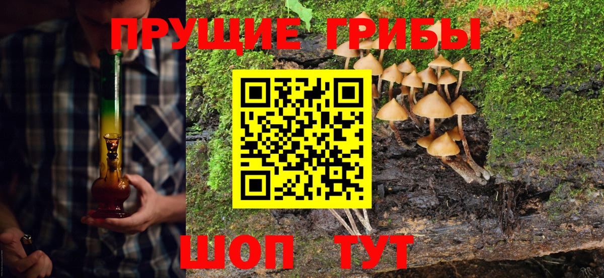Псилоцибиновые грибы прущие грибы Выкса
